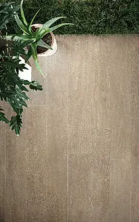 Piastrella di fondo, Effetto legno, Colore beige, Gres porcellanato smaltato, 20x120 cm, Superficie antiscivolo