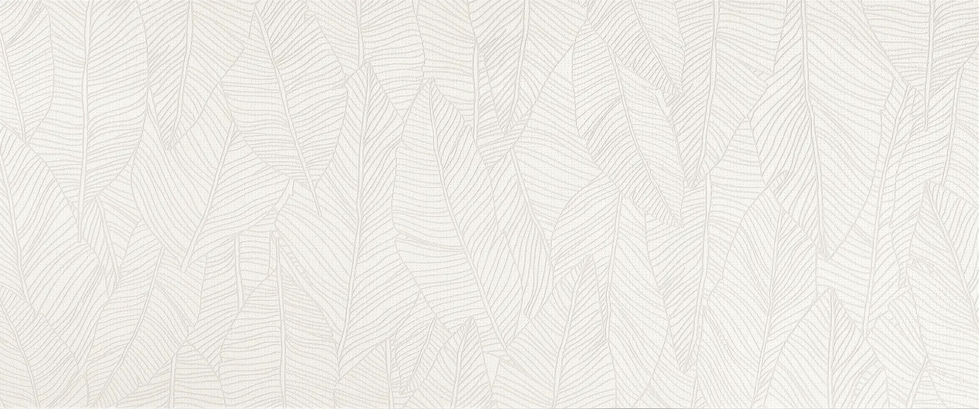 A6FC_AplombWhiteLeaf Atlas Concorde Aplomb