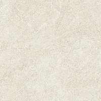 AYAY_Boost Icor Bone Atlas Concorde Boost Icor