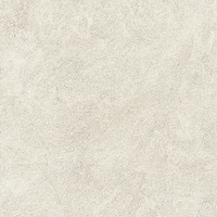 AYCG_Boost Icor Bone - 20mm Atlas Concorde Boost Icor