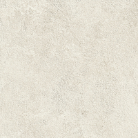 AYCK_Boost Icor Bone - 20mm Atlas Concorde Boost Icor