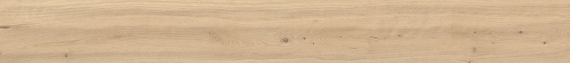 AX5W_Log Bright Oak Forest Atlas Concorde Log