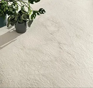 Piastrella di fondo, Effetto pietra,calacatta, Colore bianco, 60x120 cm, Superficie antiscivolo