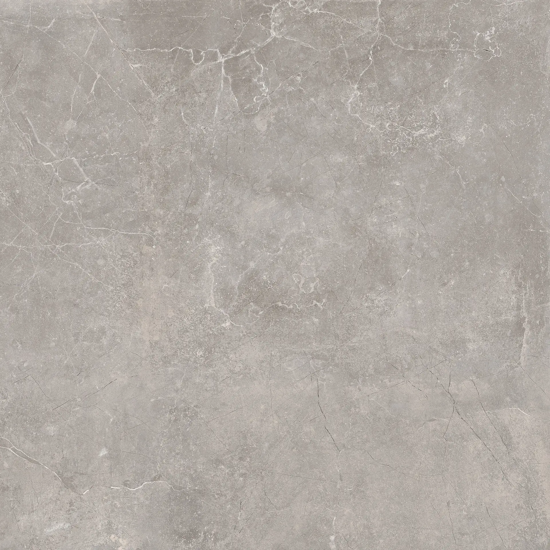 Concept Grey Baldocer Concept