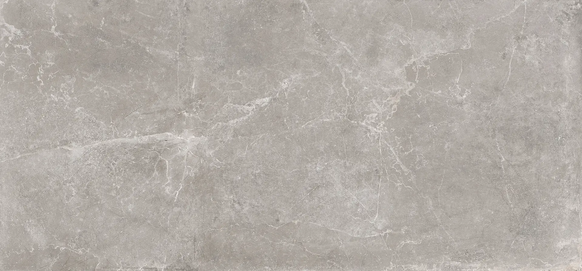 Concept Grey Baldocer Concept