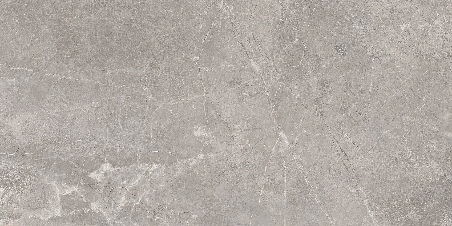 Concept Grey Baldocer Concept