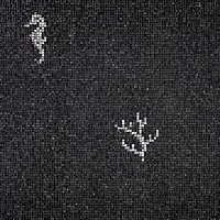 Corals & Seahorses Black Bisazza Decori 10