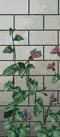 Calystegia A Bisazza Decori Tecnica Artistica
