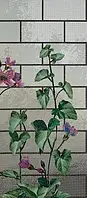 Calystegia D Bisazza Decori Tecnica Artistica