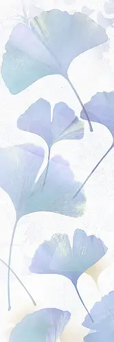 Bulbo, Jingu, BLCA033 A_Blue Glossy