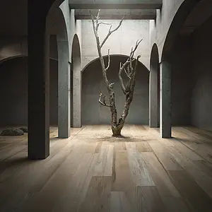 Taustalaatta, Teema puu, Väri beige väri, Lasitettu porcellanato-laatta, 26.5x180 cm, Pinta liukkaudenesto