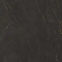 82456_Galaxia Cerdomus Omnia