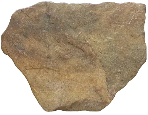 Cerlat, Montesa L, Marron L