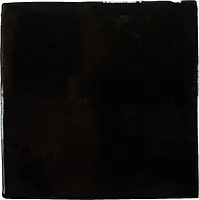 ANTICNEG_Antic Negro Cevica Antic
