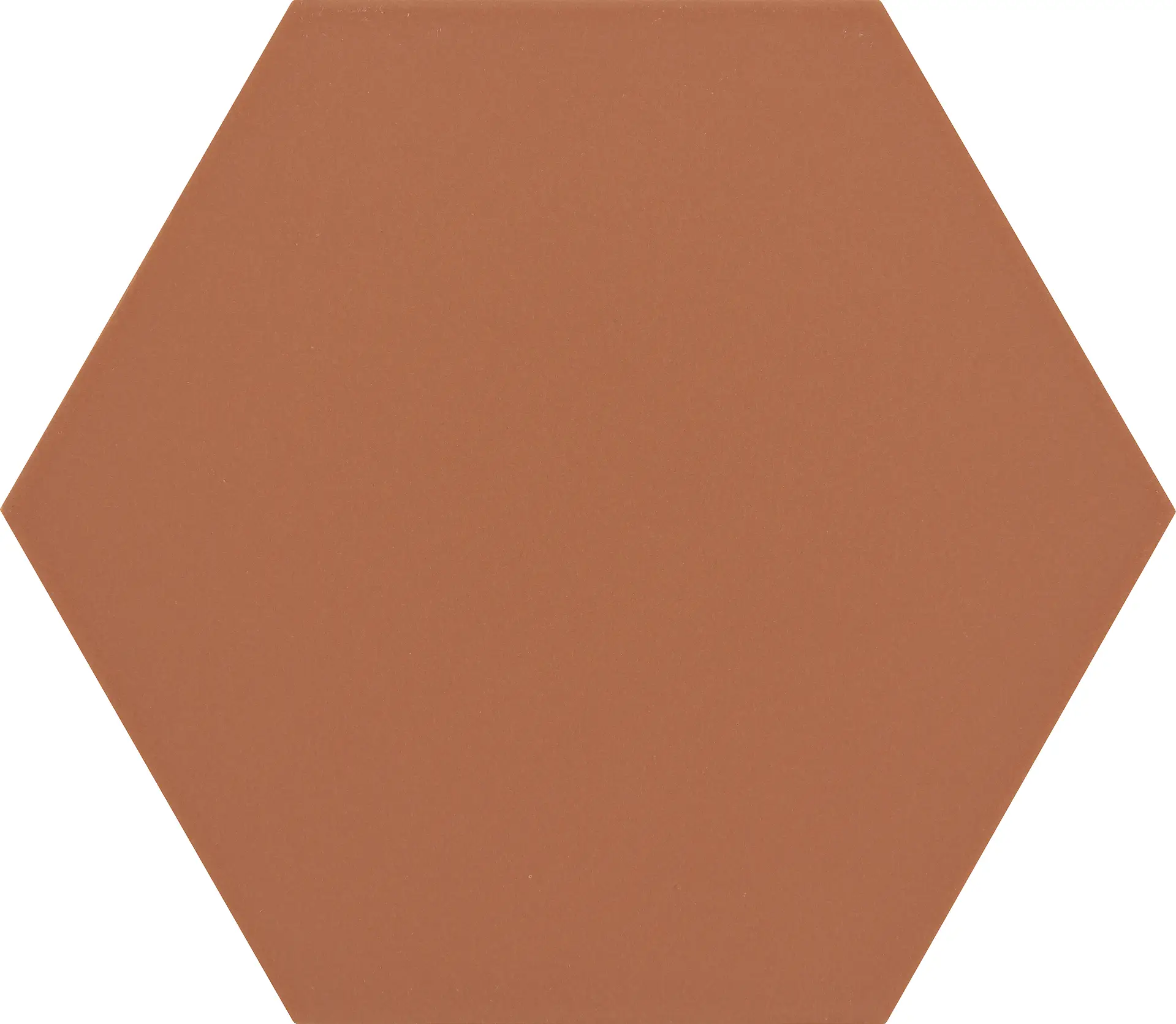 HEXBORS_Raw Sienna Cevica Boom