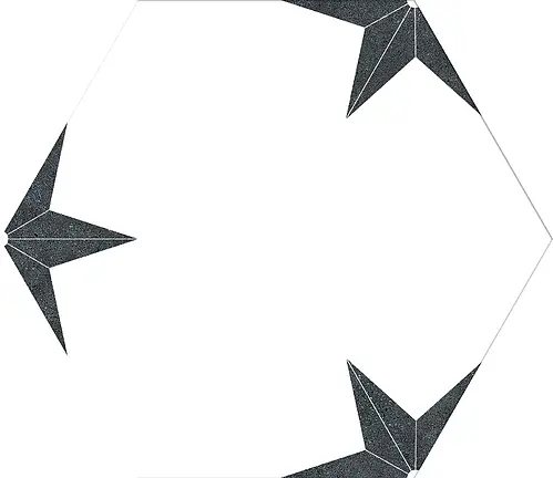 Codicer 95, Stella Hex 25, STELLA NERO