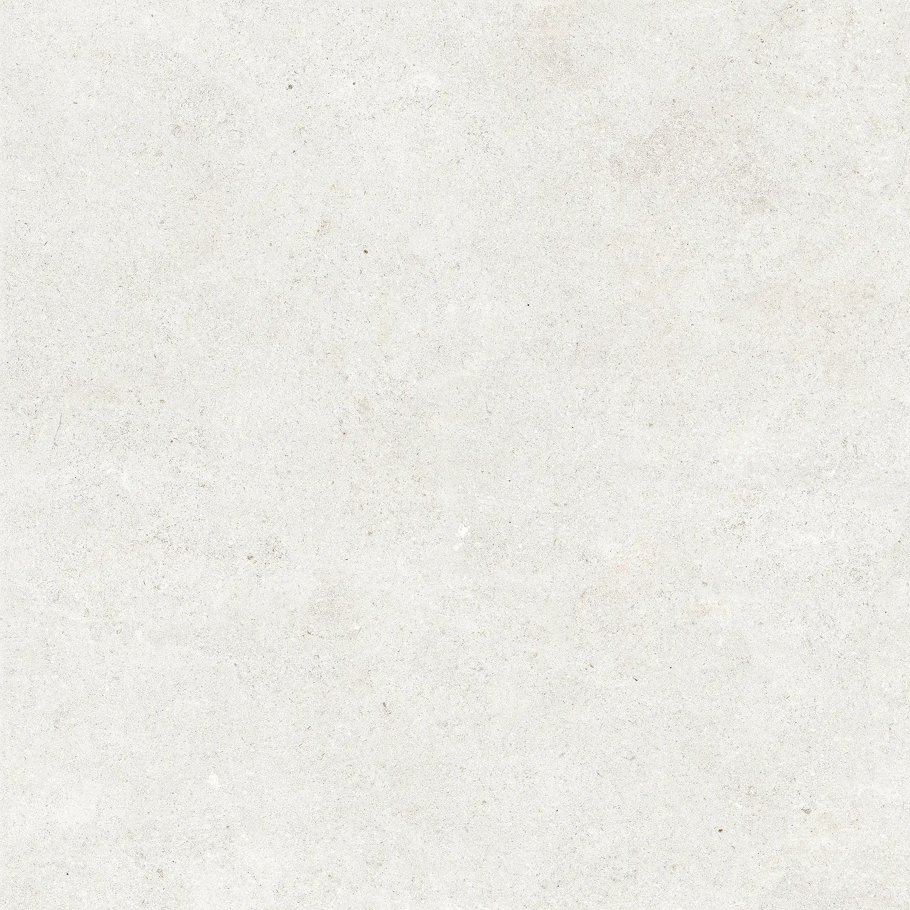 215868_NeolitickMoon Colorker Neolitick