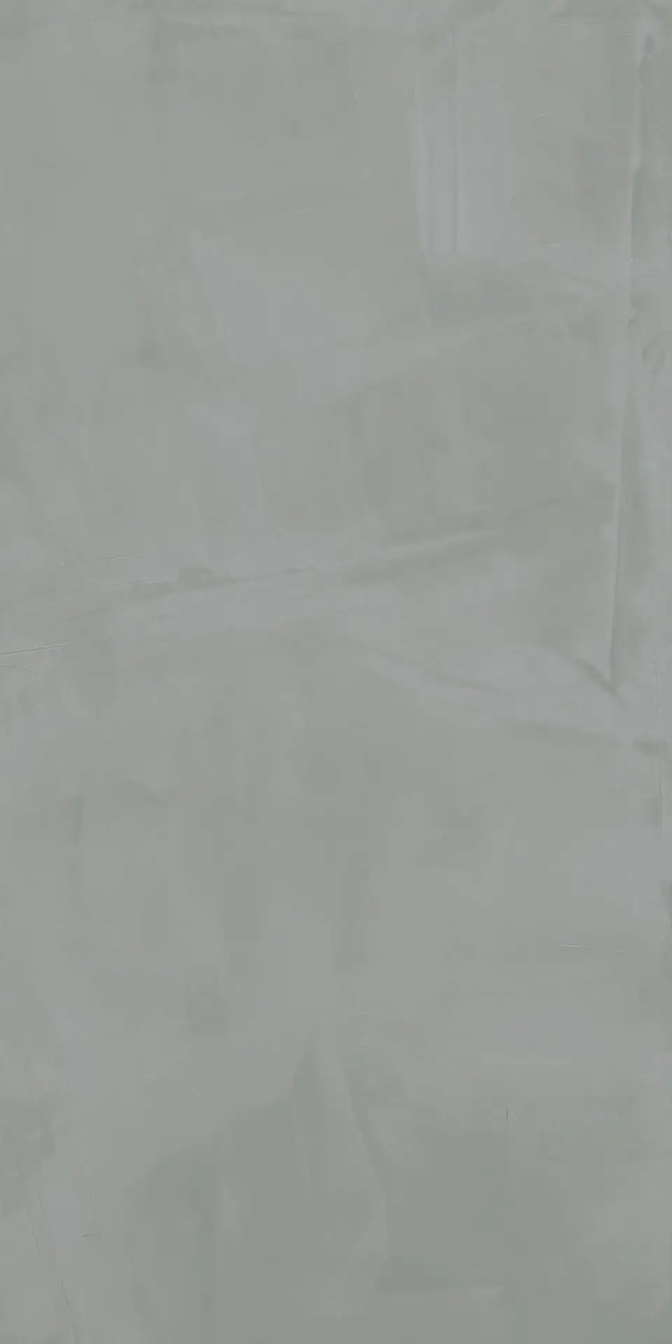 303945_PaintGrey Dado Paint