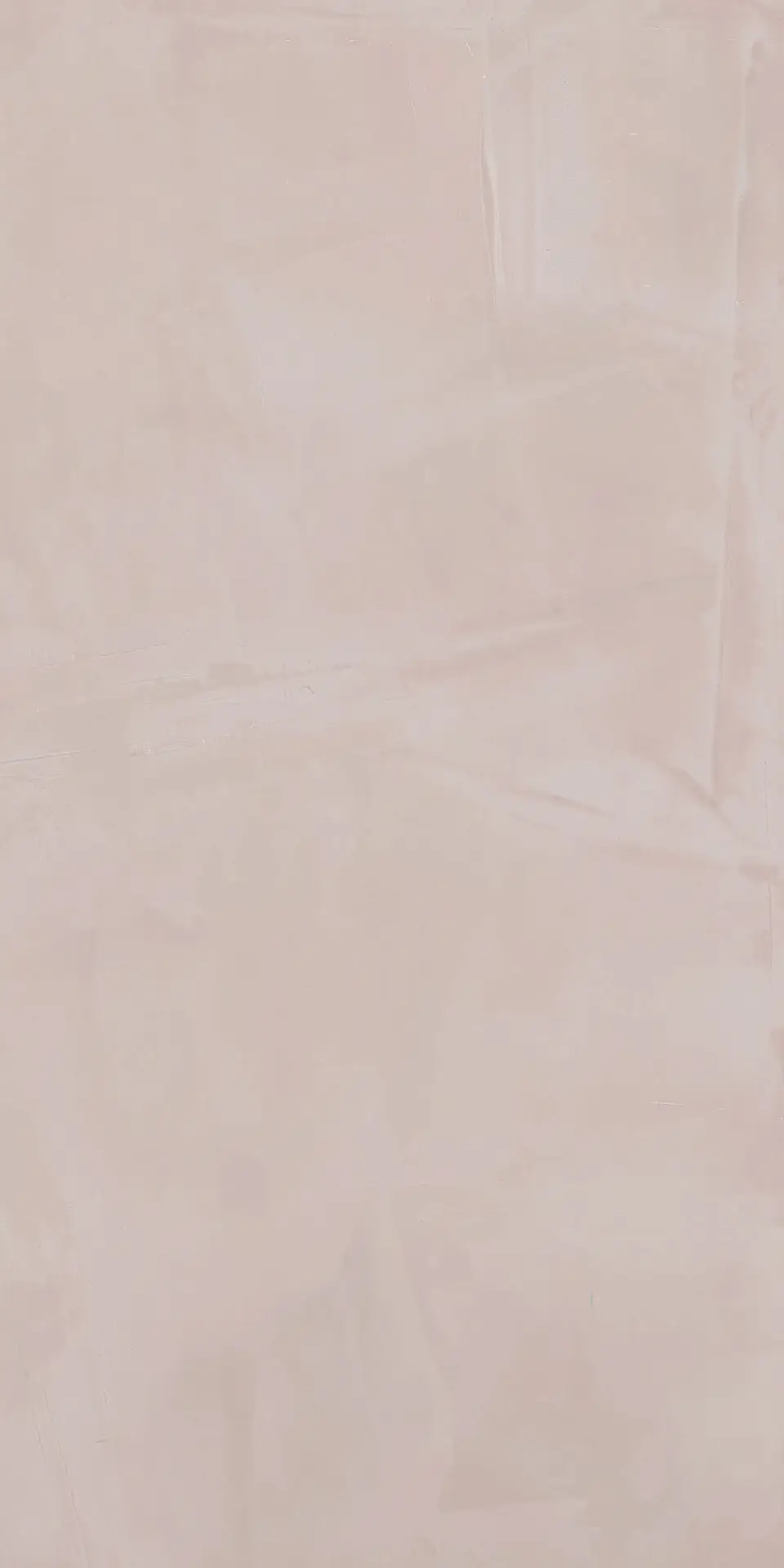 303946_PaintRose Dado Paint