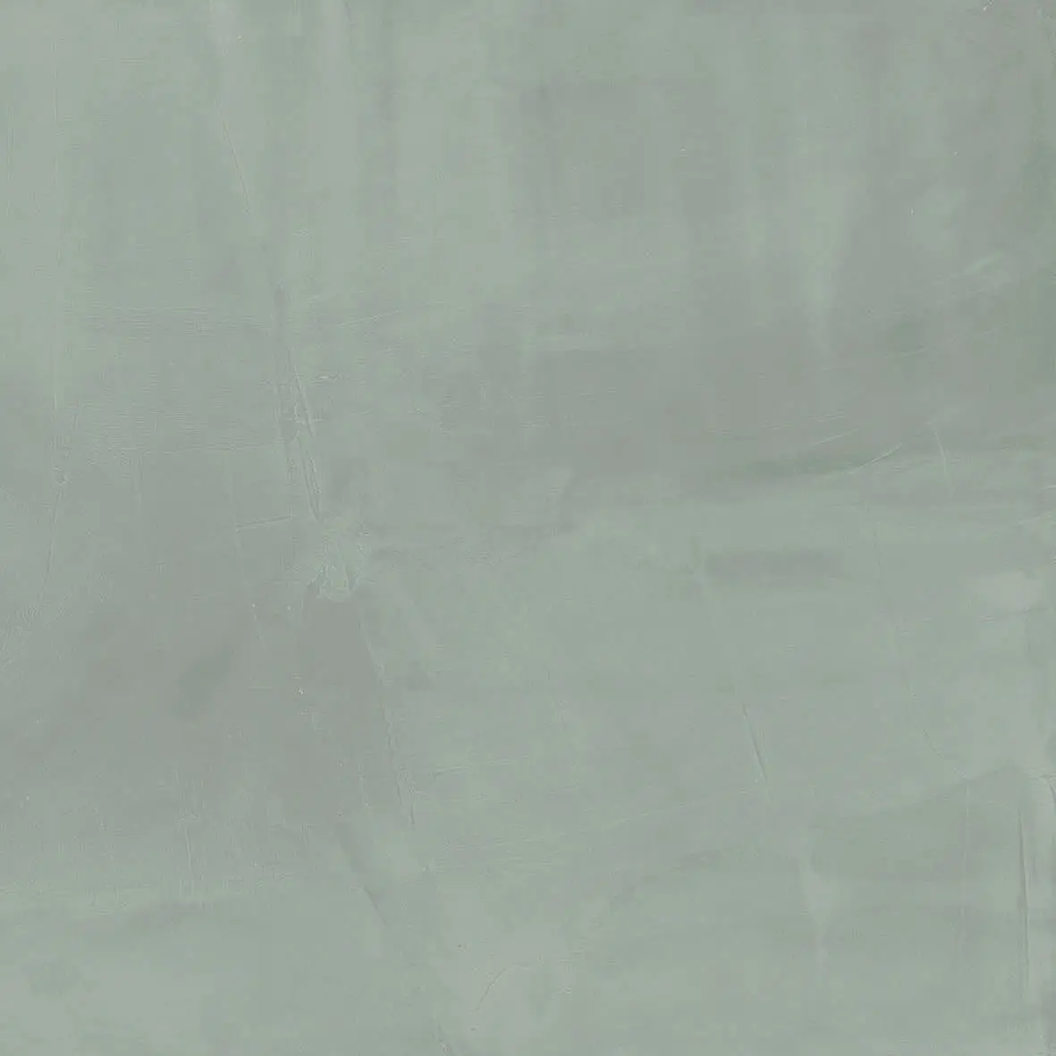 303971_PaintSalvia Dado Paint