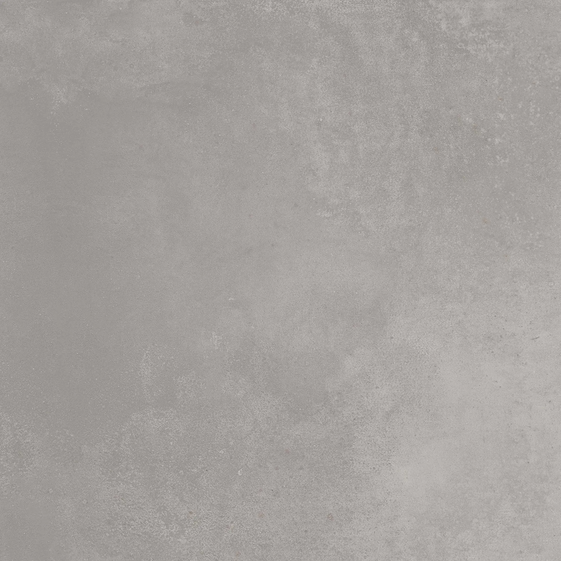 303716 Solid Light Grey Rettificato R10 Dado Solid