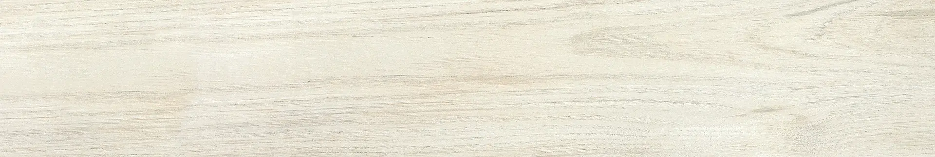 21FI10R85_FI 10 Bianco Rett Del Conca Foreste d′Italia