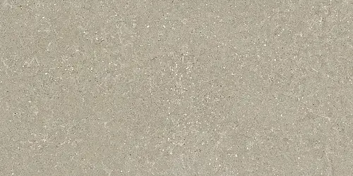 Ceramica Del Conca, Wild2, SCWD11R_Hwd 211 Greige Rett.