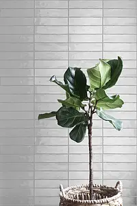 Background tile, Effect unicolor, Color grey, Ceramics, 7.5x30 cm, Finish glossy