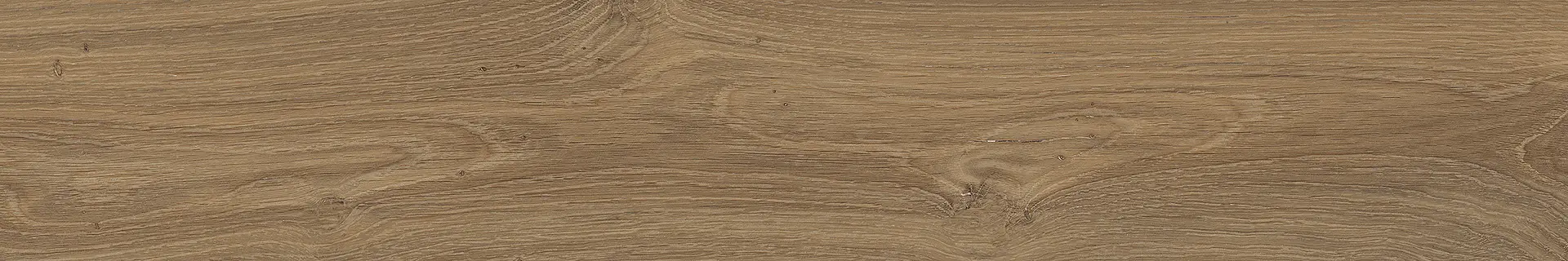 2Q81_AUTUMN Edimax Astor Groove