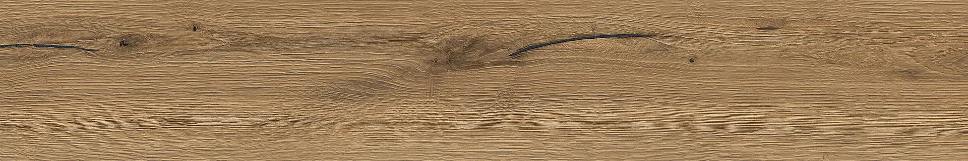 2Q83_AUTUMN_DALÍ Edimax Astor Groove