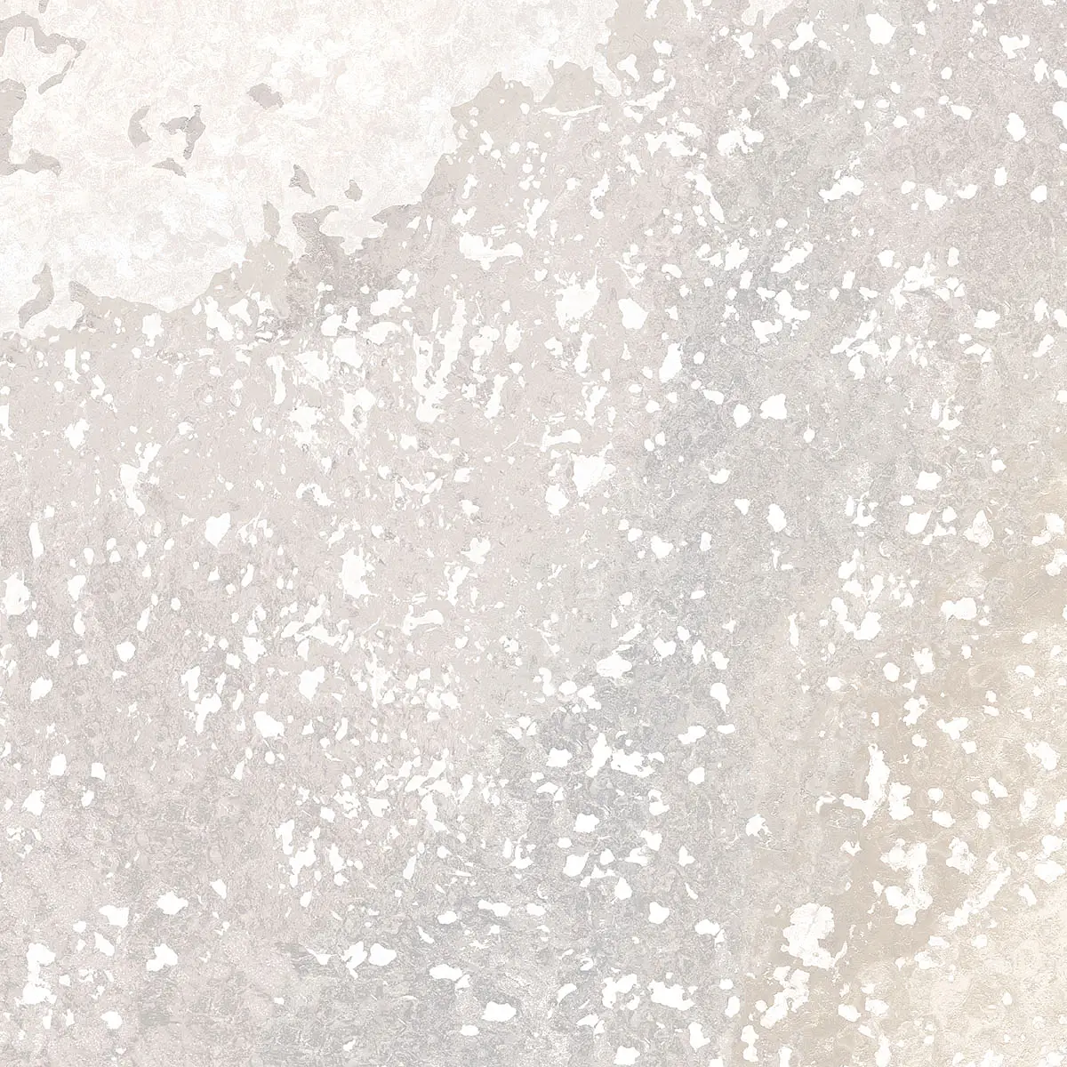 7MF7_Milk Edimax Astor More