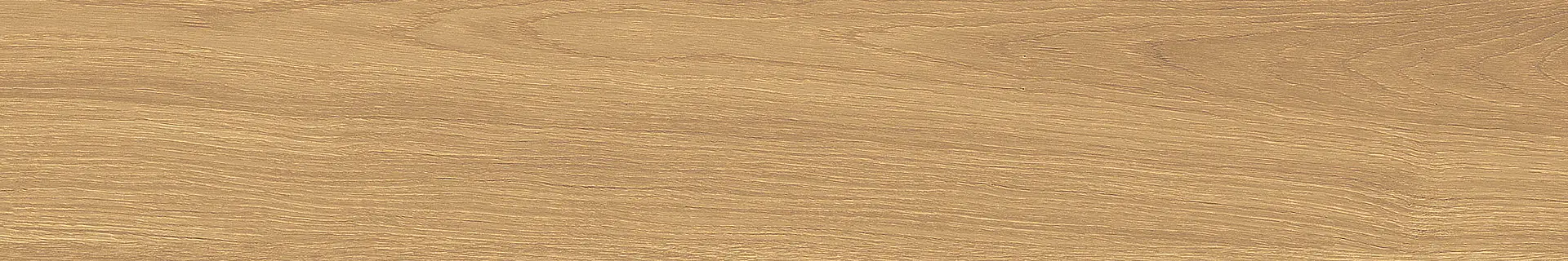 2N55_ClassNut Edimax Astor W3