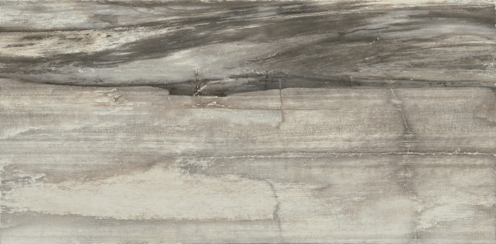 Grey core. Керамогранит Petrified Forest. Marmoker Jolie naturale 45x90.