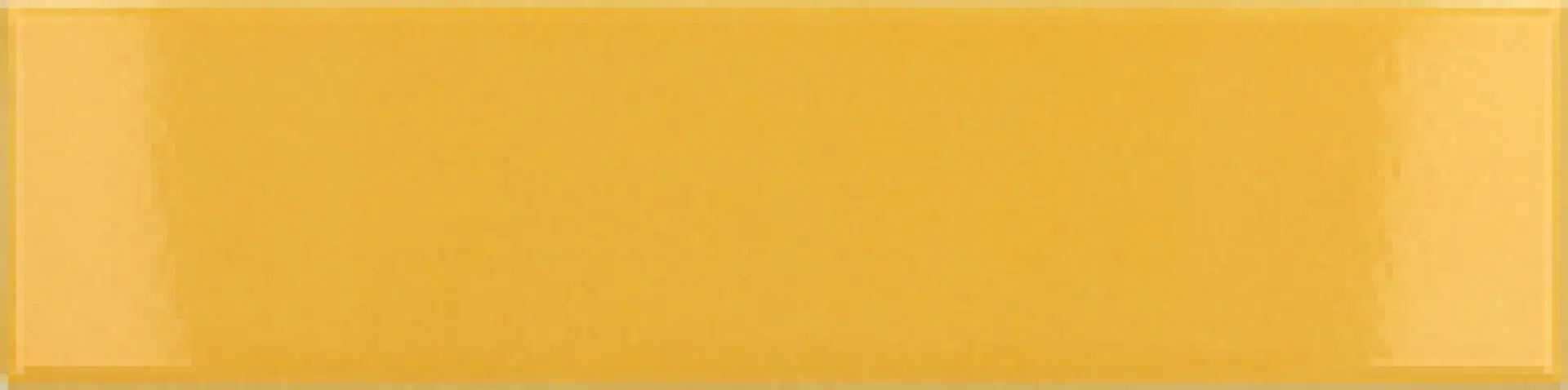28449_Yellow_gloss Equipe Costa Nova