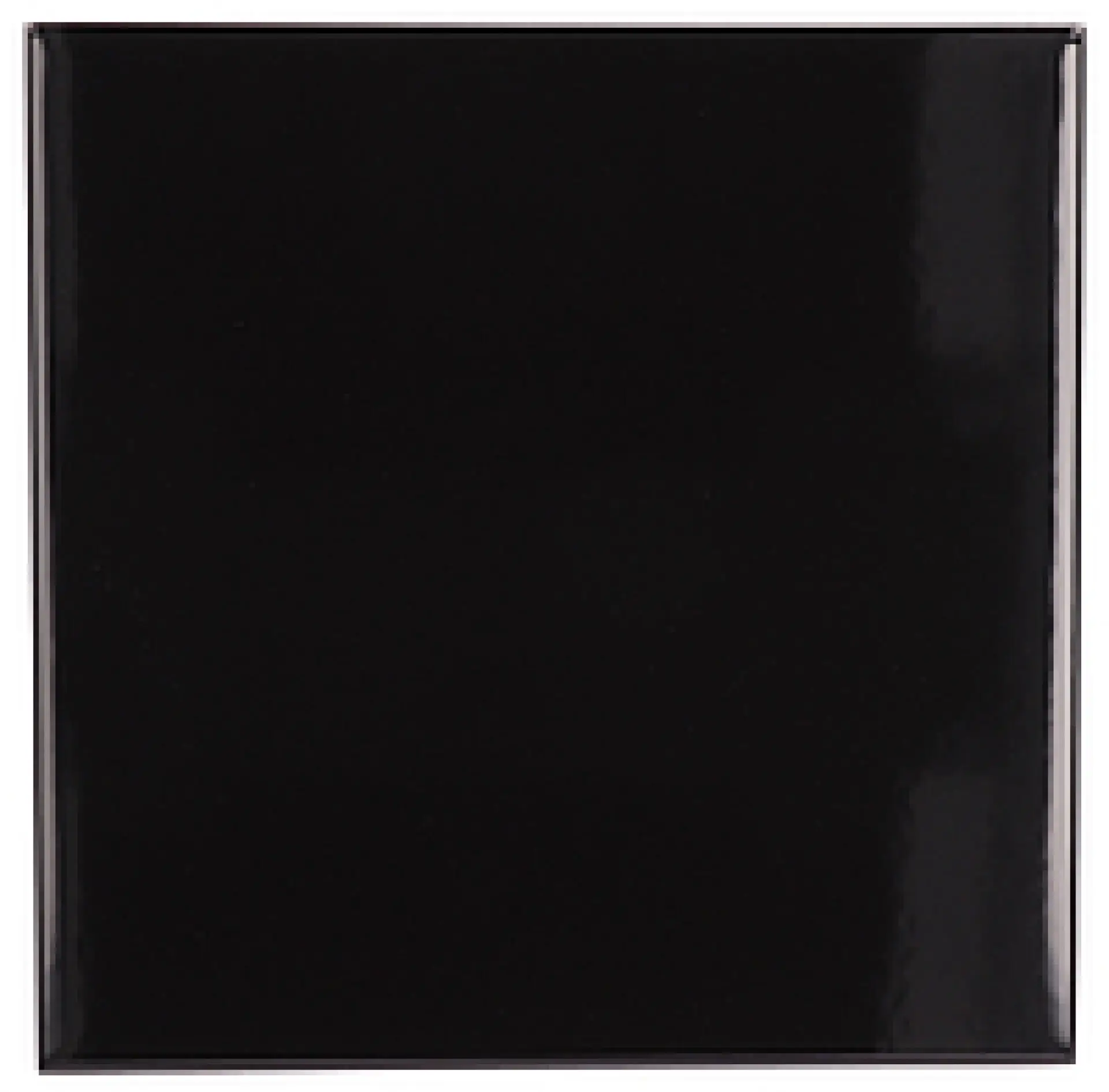 20201_EvolutionNegroBrillo Equipe Evolution