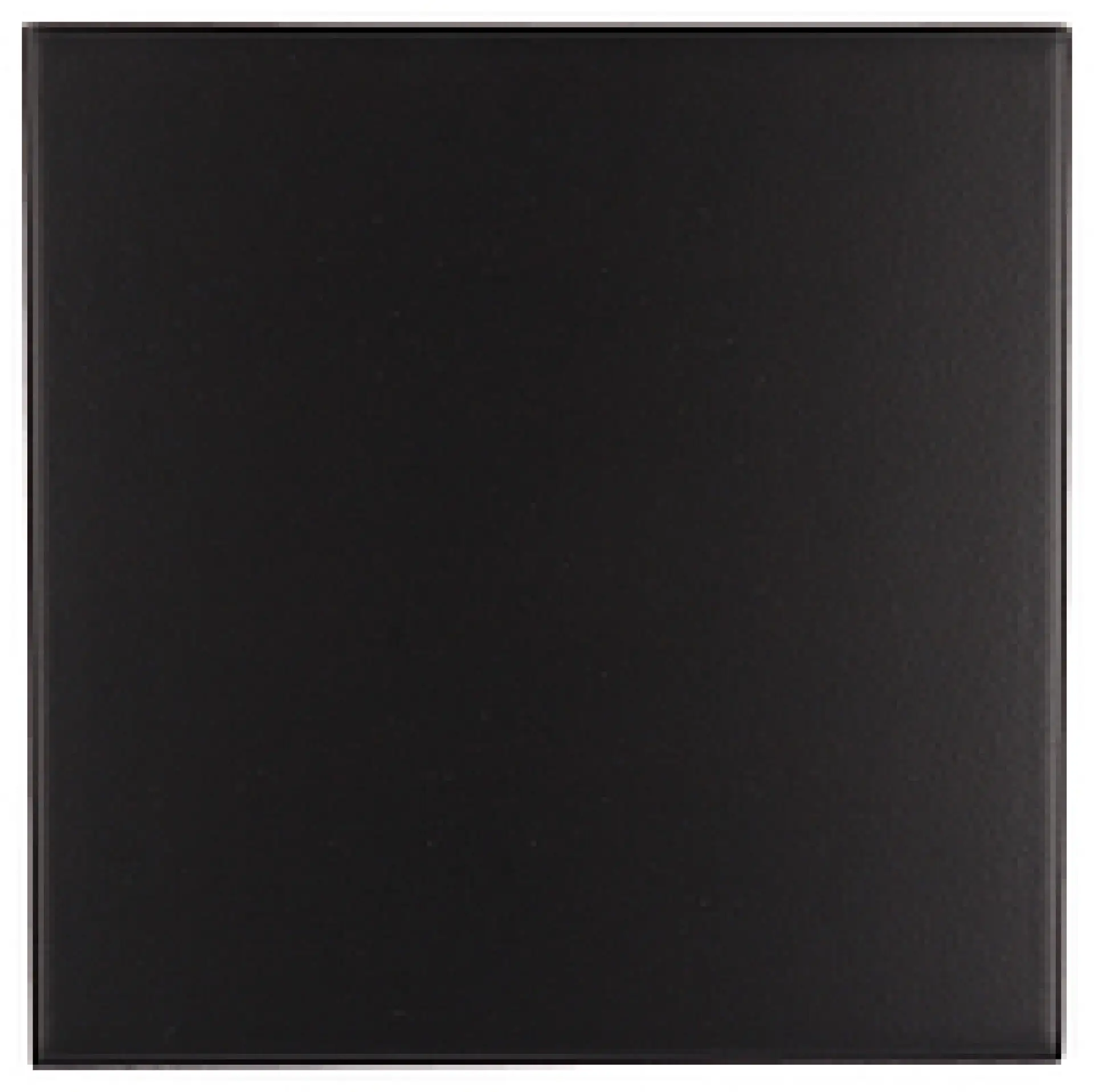 20202_EvolutionNegroMate Equipe Evolution