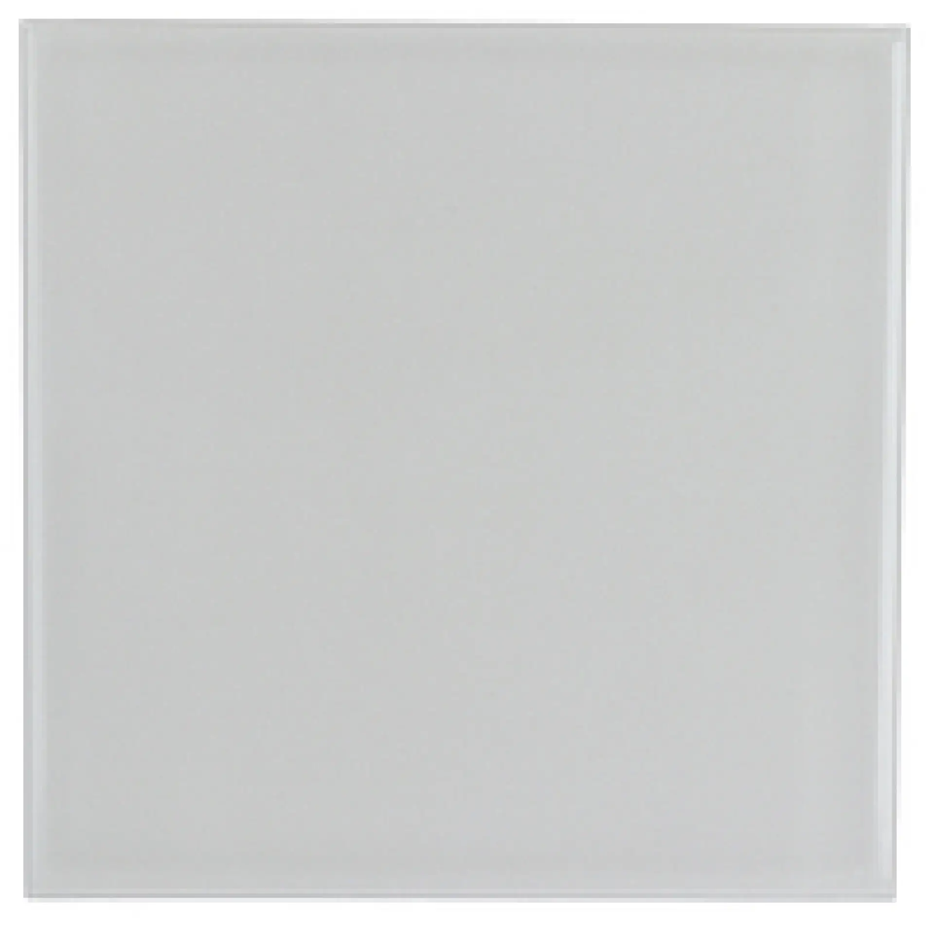 20957_EvolutionGrisClaroBrillo Equipe Evolution