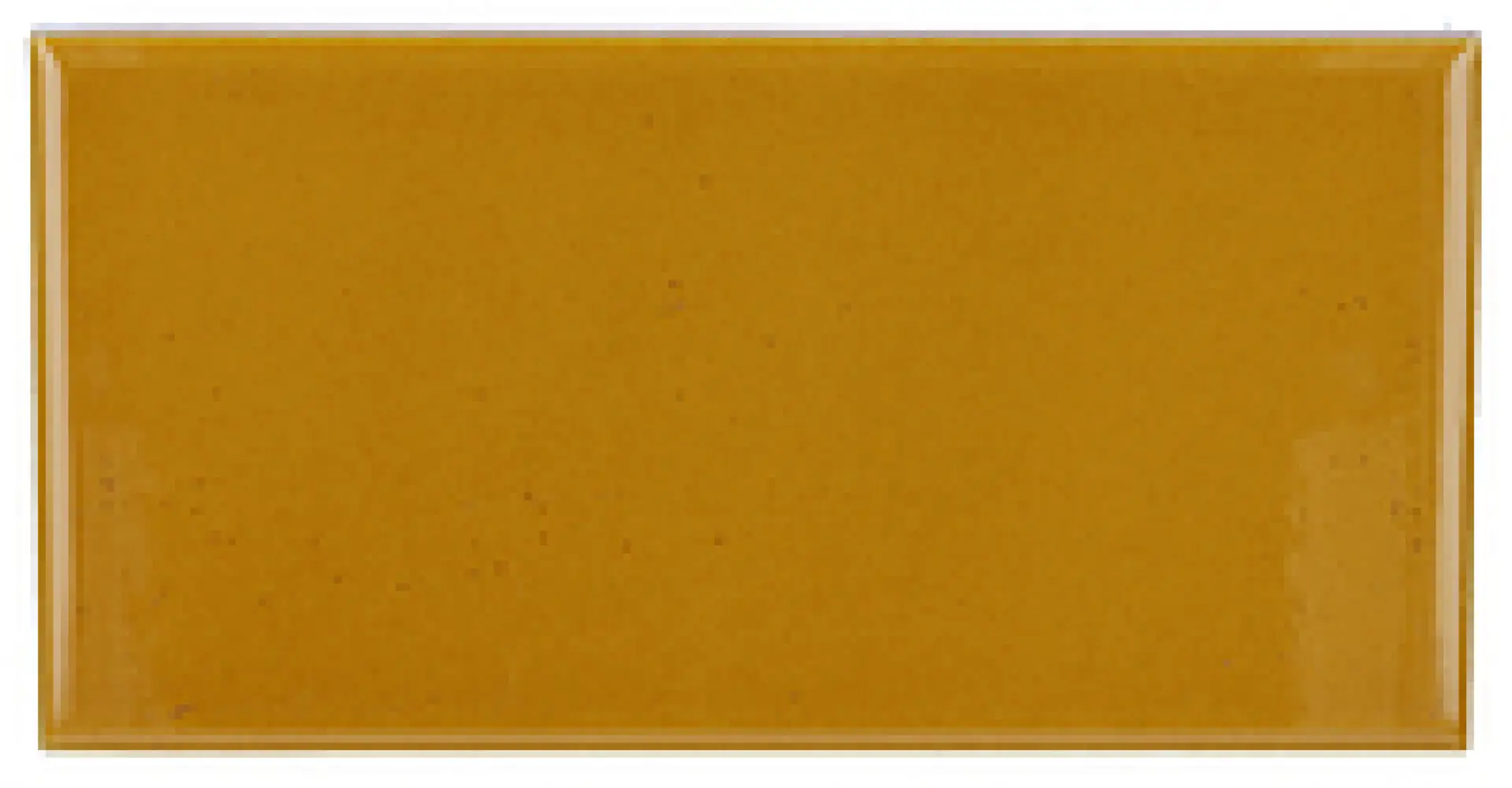 22466_Amber Equipe Evolution