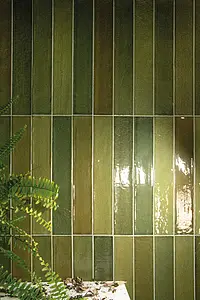 Background tile, Color green, Glazed porcelain stoneware, 5x30 cm, Finish glossy