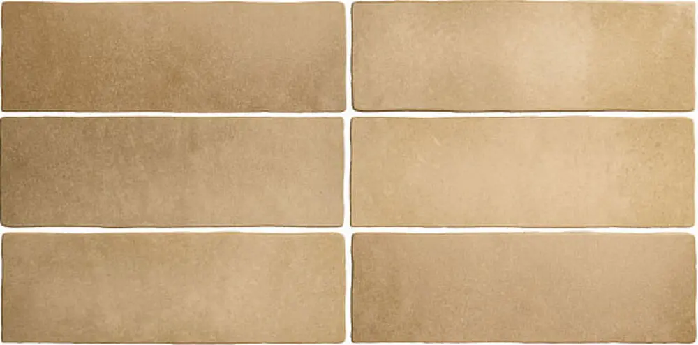 24963_Magma_autumn Equipe Magma