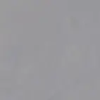 20569_OctagonTacoGrisMate Equipe Octagon