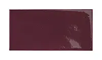 25628_Aubergine Equipe Village