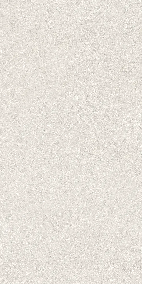 E0DP_600X1200Gs.RoWhiTecR Ergon Grain Stone