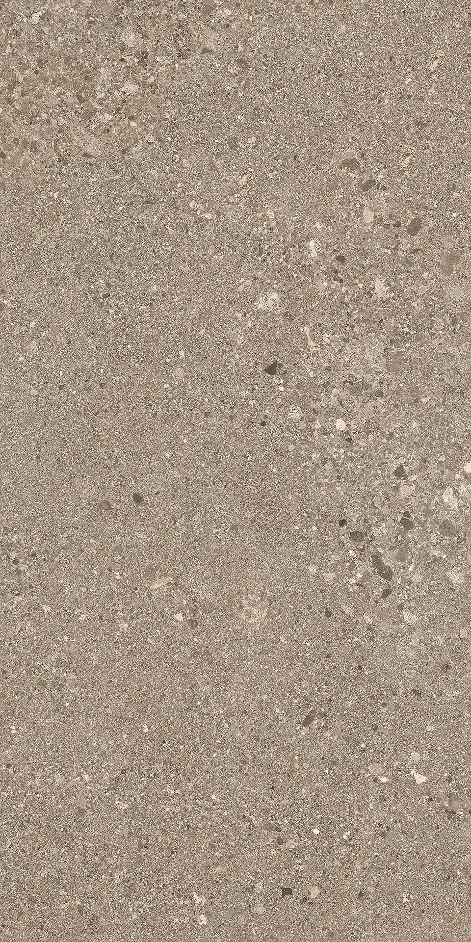 E0DR_600X1200Gs.RoTauTecR Ergon Grain Stone