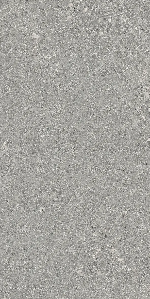 E0DS_600X1200Gs.RoGryTecR Ergon Grain Stone