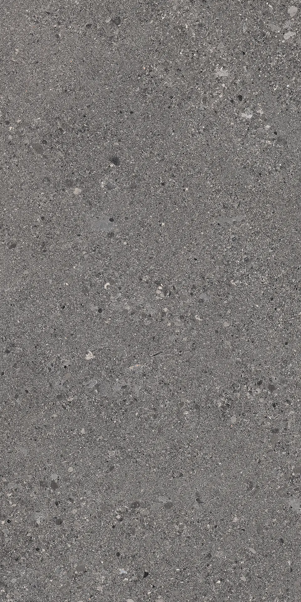 E0DT_600X1200Gs.RoDarTecR Ergon Grain Stone