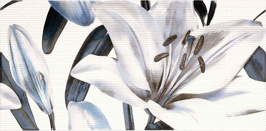 Decor Allegro Azul Flor 2 25 50 By F Tile Expert