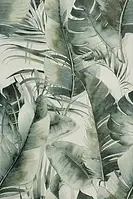 fOXP_BloomJungleInsertoMix3 FAP Bloom