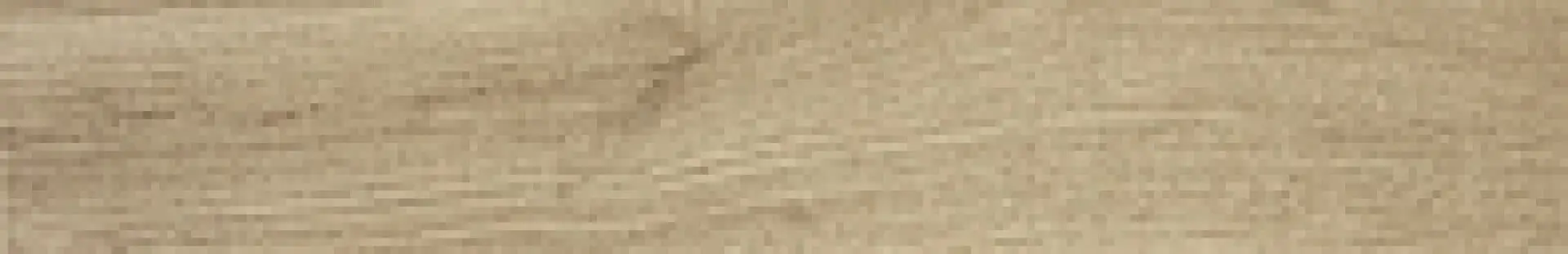 fOAA_NestMapleOut FAP Nest