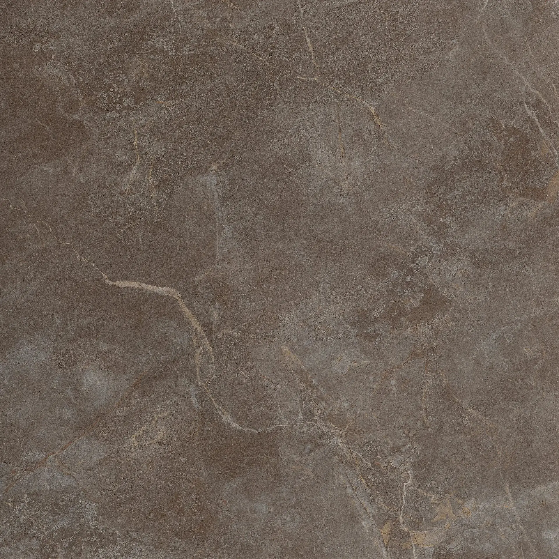 fQVW_RomaStonePietraBrownMattR9 FAP Roma Stone